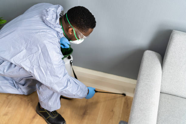 Real Estate Pest Inspections in Forest Meadows, CA